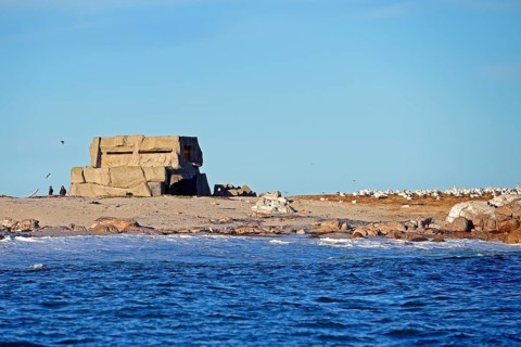 Bird Island Observatory