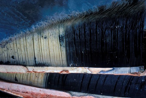 Sperm whale