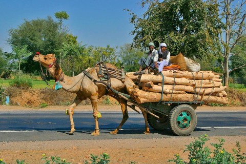 India