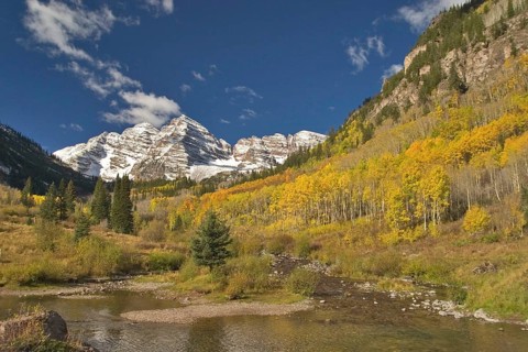 Aspen Trees in Autumn Colour Maroon Bells