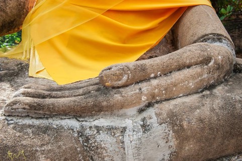 Hand detail of the Buddha statue