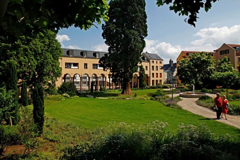 School garden