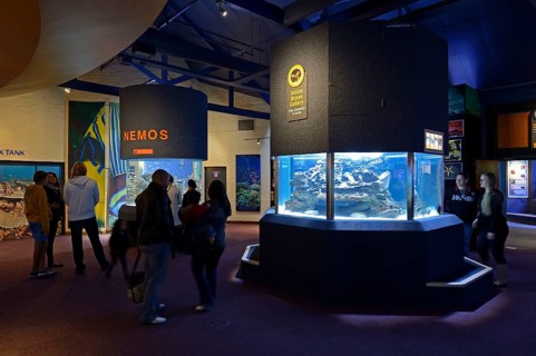 Interior of the 2 Ocean Aquarium