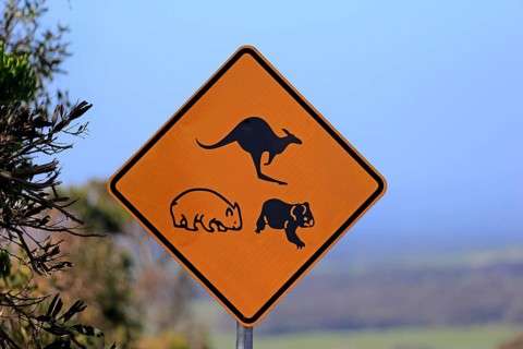 Traffic sign