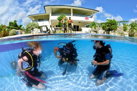 Diver in swimming pool
