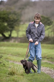 Boy with Labrador Retriever