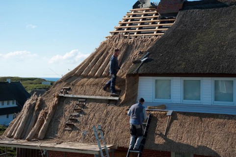 Thatching
