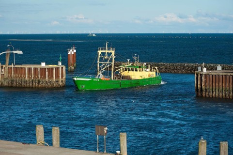Harbour
