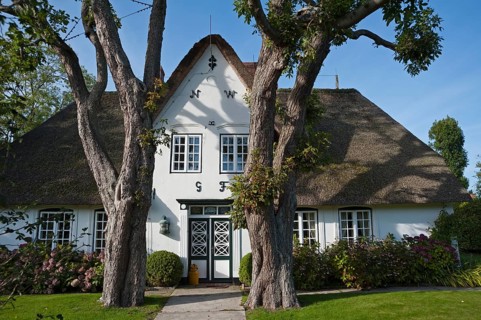 Thatched house