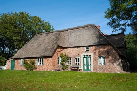 Thatched house
