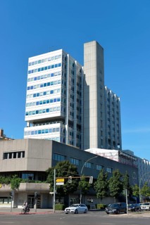 Bayer Pharma