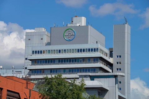 Bayer Pharma