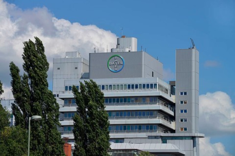 Bayer Pharma