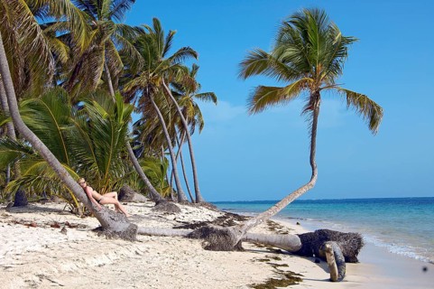 Woman on the beach with palm trees