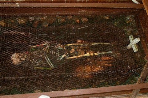 Skeleton