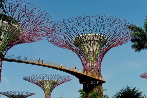 Gardens by the Bay