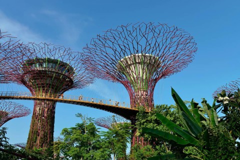 Gardens by the Bay