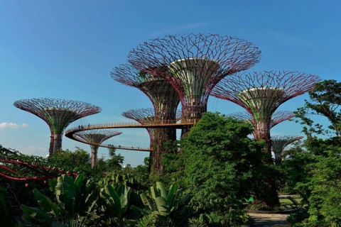 Gardens by the Bay