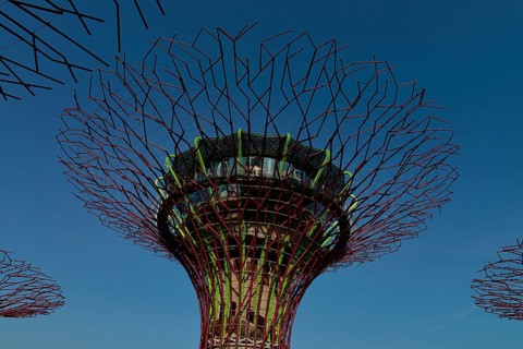 Gardens by the Bay