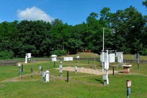Messwiese