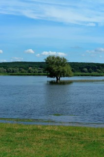 Flood