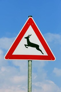 Deer crossing the road game warning sign against blue sky