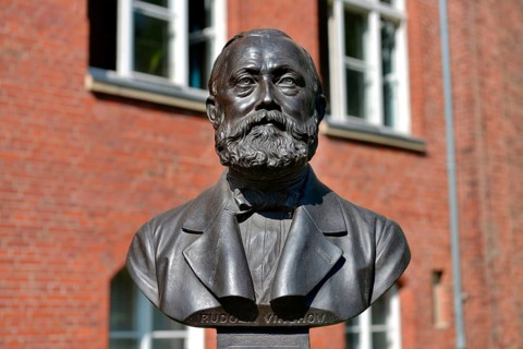 Bust of Rudolf Virchow