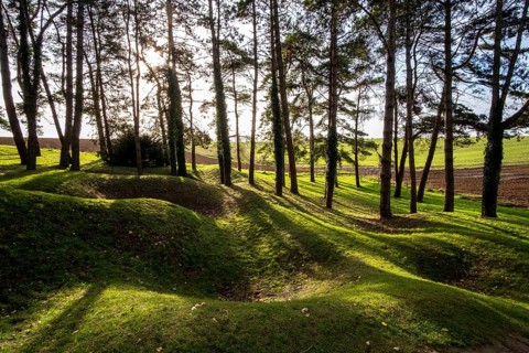 Shell craters and entrenchments in Sheffield Memorial Park