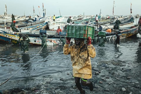 Unloading the catch at the port