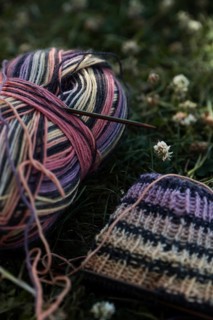 Knitted piece with knitting needles in a meadow