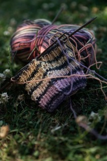 Knitted piece with knitting needles in a meadow