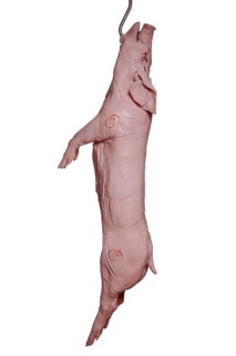 Pork