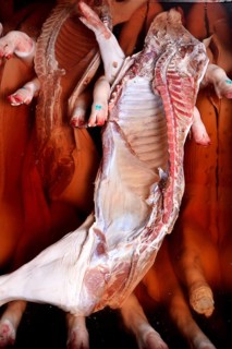 Pork