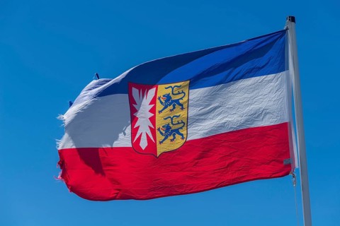 Flag with arms