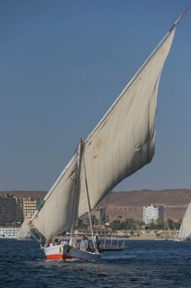 Sailing boat