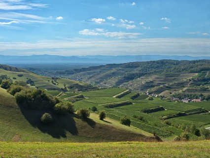 View from the Neunlindenpfad