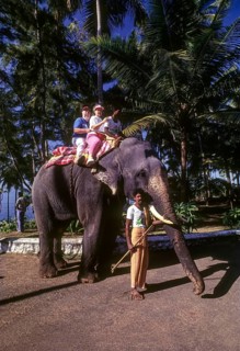 Tourists on an elephant ride at Kovalam near Thiruvananthapuram Trivandrum