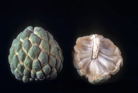 Fruits Custard apple sugar apple