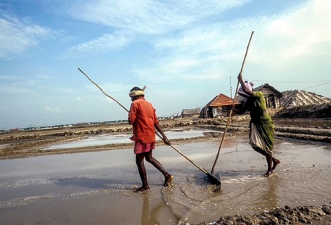 Workers in salt pan at Thoothukudi Tuticorin