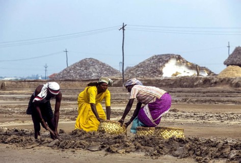 Workers in salt pan at Thoothukudi Tuticorin