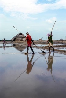 Workers in salt pan at Thoothukudi Tuticorin