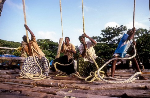 Operating the Chinese fishing nets Cheena vala in Fort Kochi Cochin