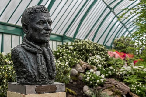 Bust of Louis Paras