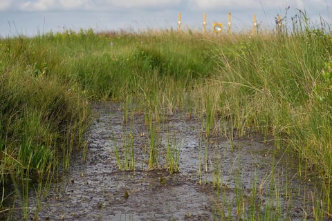 Water ditch