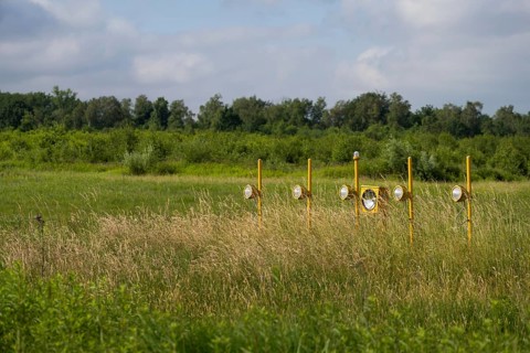 Wahner Heide
