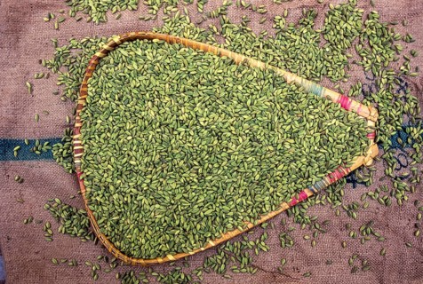 Cardamom