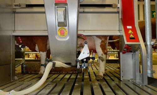 Lely milking machine