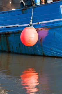 Crab cutter