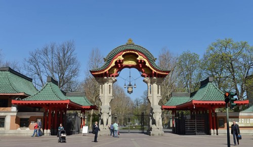 Elephant Gate