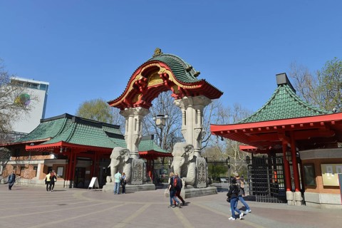 Elephant Gate